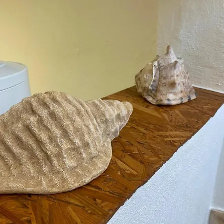 Nortadas House 펜션 페니케